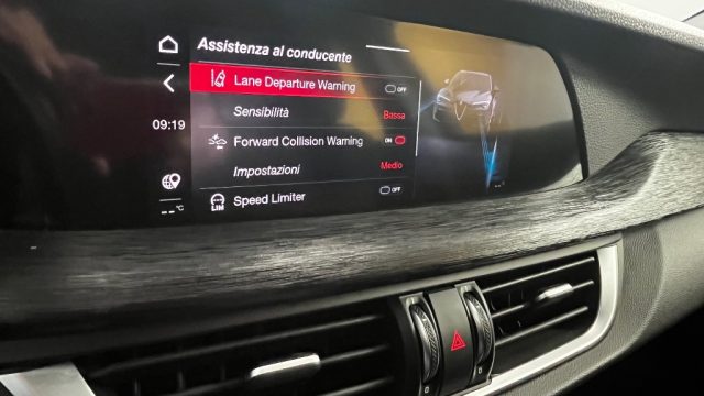 ALFA ROMEO STELVIO 2.2 TURBODIESEL 190 CV AT8 Q4 BU - foto 13