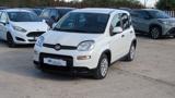 VENDO Auto a Roma – foto 1