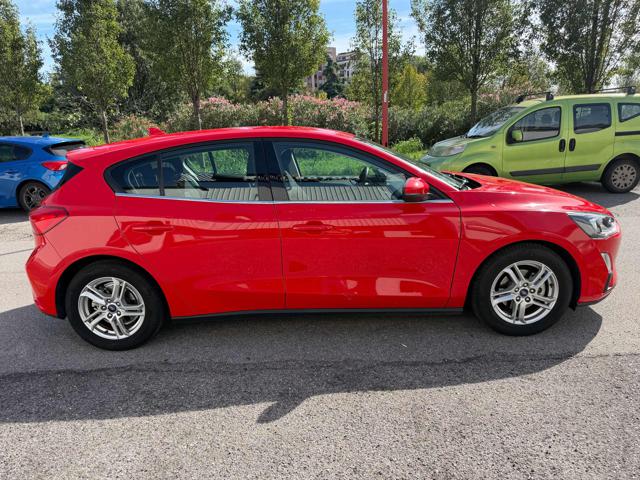 FORD FOCUS 1.0 ECOBOOST 100 CV 5P. BUSINESS - foto 6