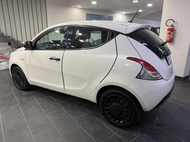 LANCIA YPSILON 1.2 69 CV 5 PORTE S&S ELEFANTINO - foto 8