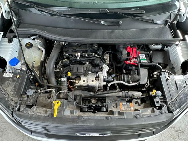 FORD TRANSIT 1.5 ECOBLUE 100CV VAN TREND - foto 11