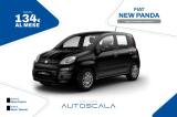 VENDO Auto a Pozzuoli – foto 1