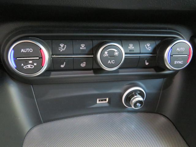 ALFA ROMEO STELVIO 2.2 TURBODIESEL 210 CV AT8 Q4 VE - foto 14