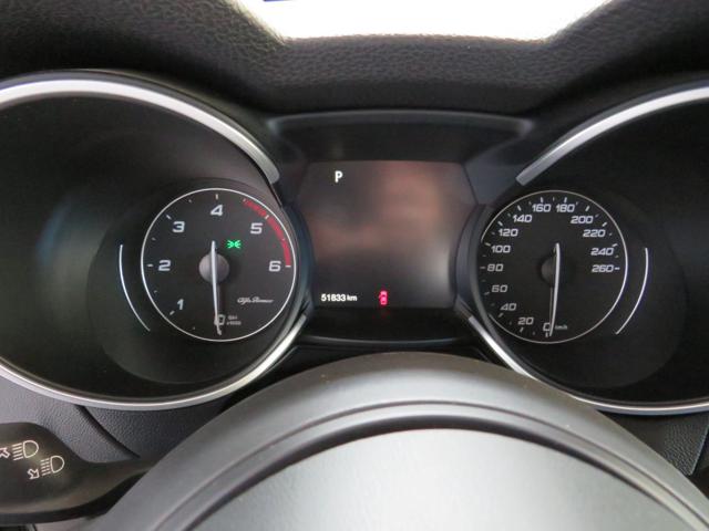 ALFA ROMEO STELVIO 2.2 TURBODIESEL 210 CV AT8 Q4 VE - foto 12