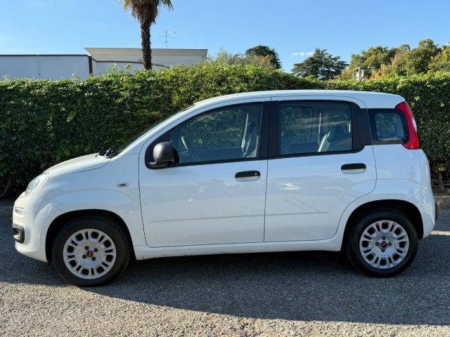 FIAT PANDA 1.2 EASY NEOPATENTATI - CLIMA -  - foto 7