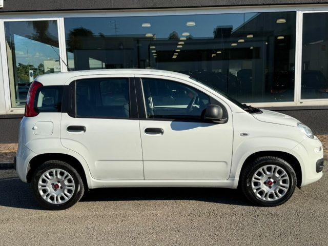 FIAT PANDA 1.2 EASY NEOPATENTATI - CLIMA -  - foto 5