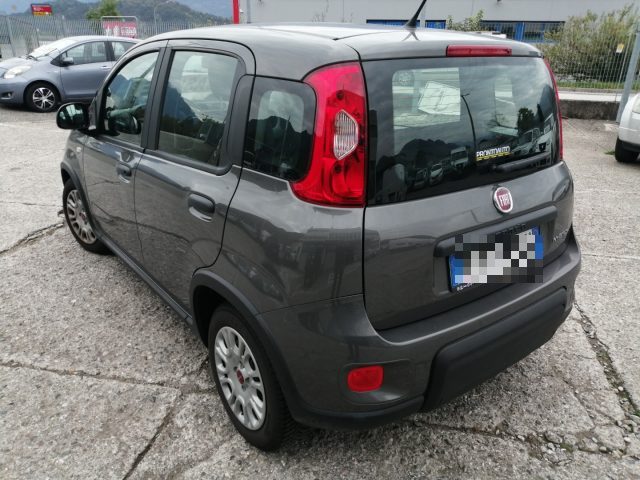 FIAT PANDA 1.0 FIREFLY S&S HYBRID - foto 6