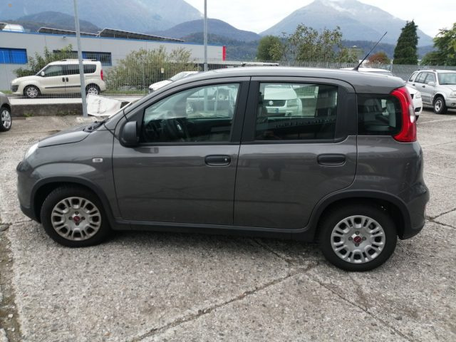 FIAT PANDA 1.0 FIREFLY S&S HYBRID - foto 7