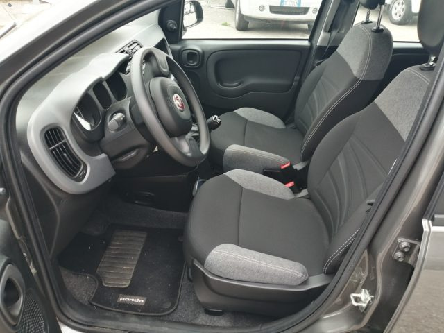 FIAT PANDA 1.0 FIREFLY S&S HYBRID - foto 8