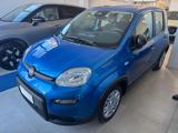 VENDO Auto a Spoltore – foto 1
