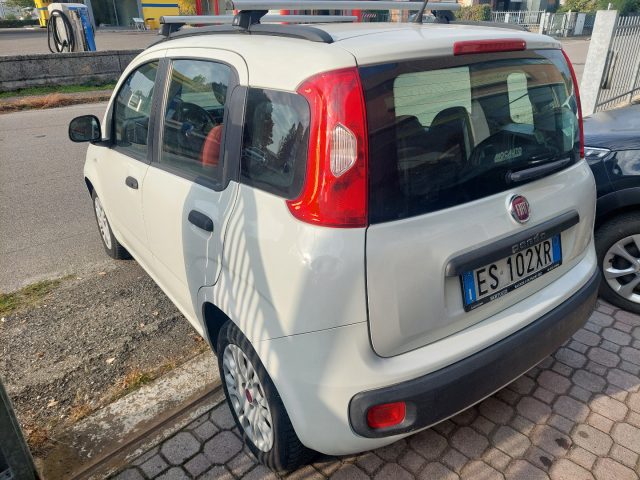 FIAT PANDA 1.2 EASY - foto 3