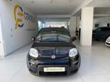 VENDO Auto a Somma Vesuviana – foto 1