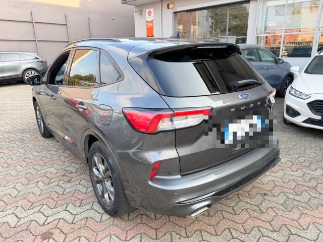 FORD KUGA 1.5 ECOBLUE 120 CV AUT. 2WD ST-L - foto 4