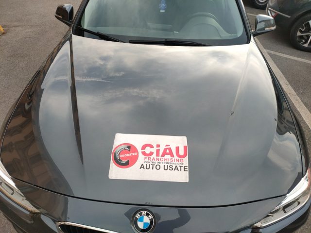 BMW 318 I BUSINESS ADVANTAGE - foto 15