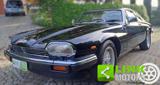 VENDO Auto a Ancona – foto 1