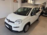 VENDO Auto a Spoltore – foto 1