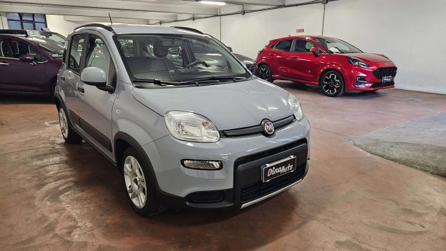 FIAT PANDA PANDA 1.0 FIREFLY HYBRID CITY LI - foto 4