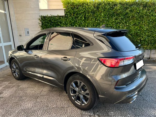 FORD KUGA 1.5 ECOBLUE 120 CV 2WD ST-LINE - foto 7