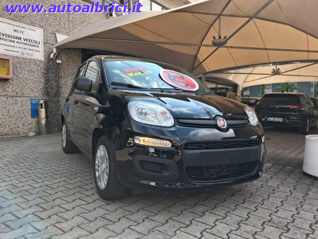 FIAT PANDINA 1.0 FIREFLY 65 CV HYBRID ICON KM - foto 2
