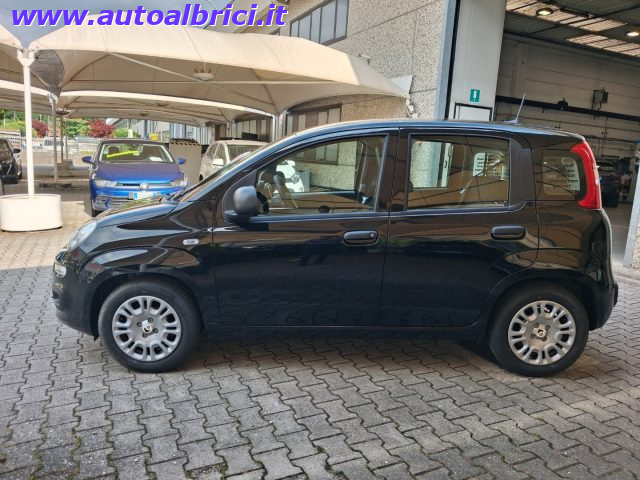 FIAT PANDINA 1.0 FIREFLY 65 CV HYBRID ICON KM - foto 5