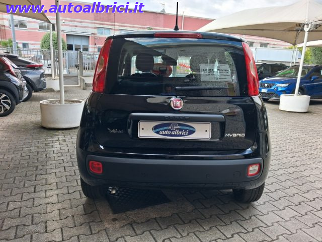 FIAT PANDINA 1.0 FIREFLY 65 CV HYBRID ICON KM - foto 7