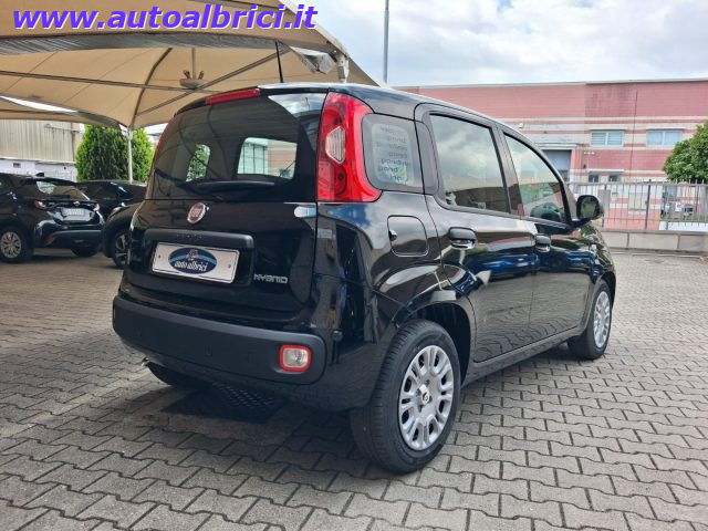 FIAT PANDINA 1.0 FIREFLY 65 CV HYBRID ICON KM - foto 8