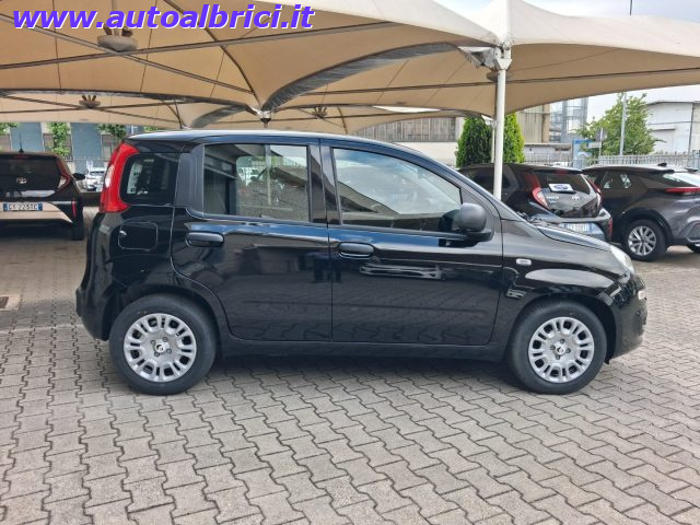 FIAT PANDINA 1.0 FIREFLY 65 CV HYBRID ICON KM - foto 9