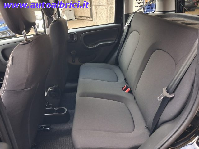 FIAT PANDINA 1.0 FIREFLY 65 CV HYBRID ICON KM - foto 15