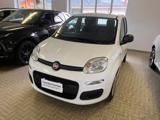 VENDO Auto a Montecrestese – foto 1