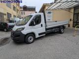 VENDO Veicoli commerciali a Torino – foto 1