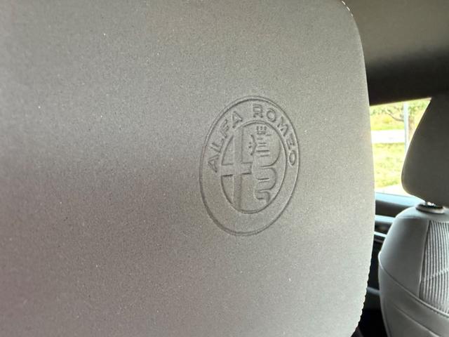 ALFA ROMEO TONALE 1.6 130CV TI+18''+RCAM+2PDC+PELL - foto 27