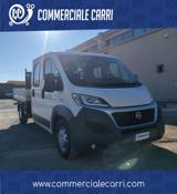 VENDO Veicoli commerciali a Corato – foto 1