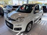 VENDO Auto a Ferrara – foto 1