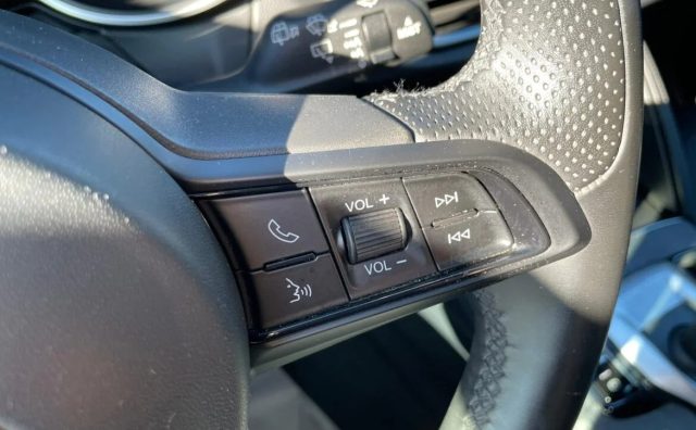 ALFA ROMEO STELVIO 2.2 TURBODIESEL 160 CV AT8 RWD S - foto 16