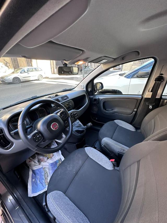 FIAT PANDA 1.0 FIREFLY S&S HYBRID SPORT - foto 6
