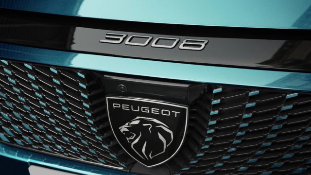 PEUGEOT 3008 2.1 - foto 6
