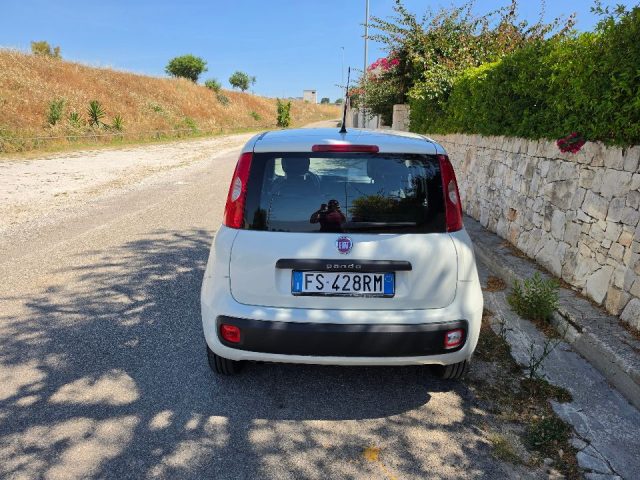 FIAT PANDA 1.3 MJT 80 CV S&S EASY - foto 2