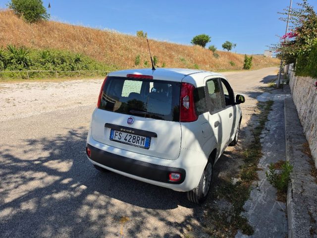 FIAT PANDA 1.3 MJT 80 CV S&S EASY - foto 3