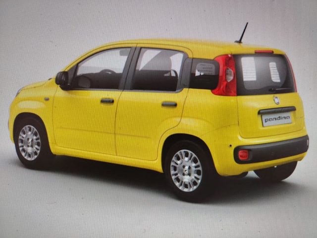FIAT PANDA 1.0 FIREFLY S&S HYBRID POP KM0 - foto 2