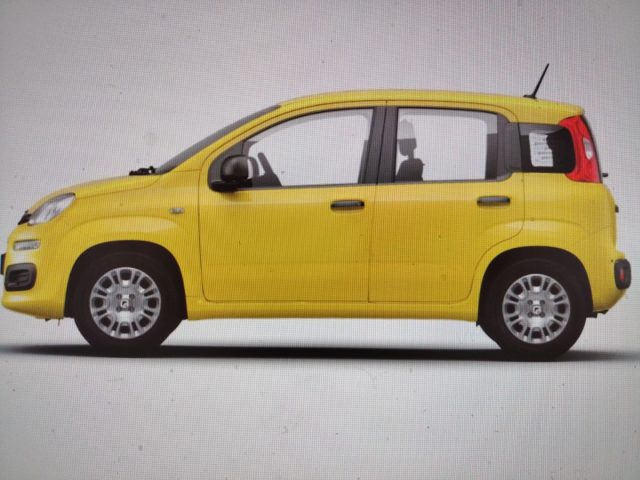 FIAT PANDA 1.0 FIREFLY S&S HYBRID POP KM0 - foto 3
