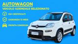 FIAT Panda 0.9 T.Air Turbo S&S 4x4 Pop Van 2 posti Az.Italia
