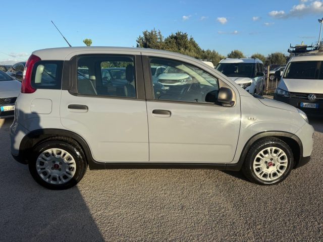 FIAT PANDA 1.0 FIREFLY S&S HYBRID - foto 4