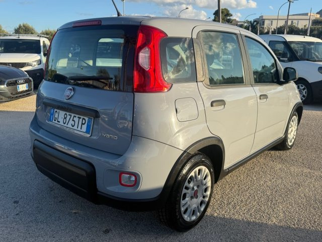 FIAT PANDA 1.0 FIREFLY S&S HYBRID - foto 3