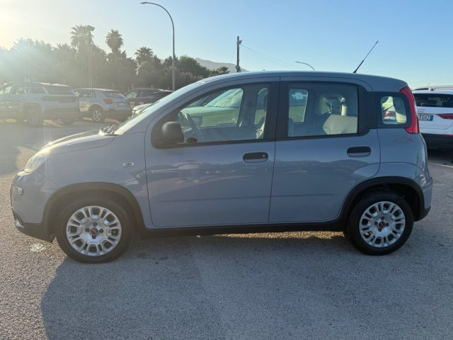 FIAT PANDA 1.0 FIREFLY S&S HYBRID - foto 5