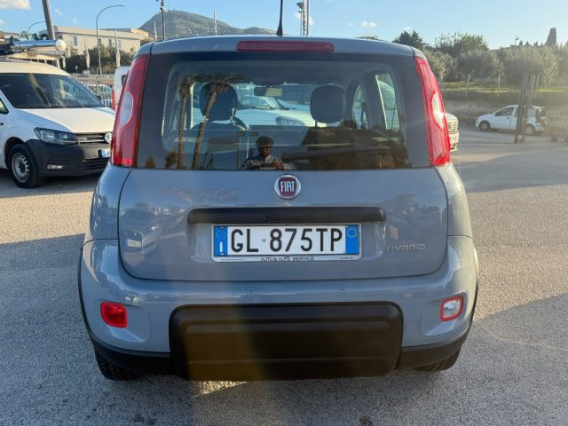 FIAT PANDA 1.0 FIREFLY S&S HYBRID - foto 6