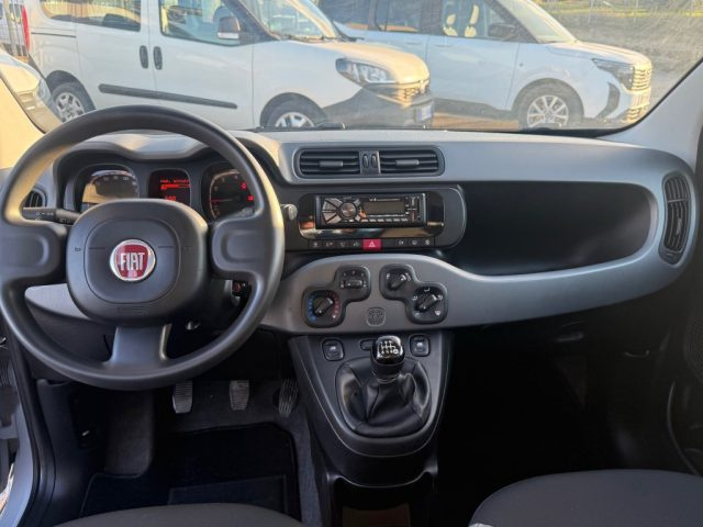 FIAT PANDA 1.0 FIREFLY S&S HYBRID - foto 8