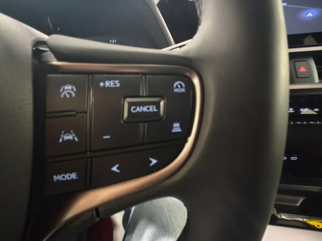 LEXUS UX FULL ELECTRIC 2024 LUXURY BATTERY 72.8 KWH SIS - foto 23
