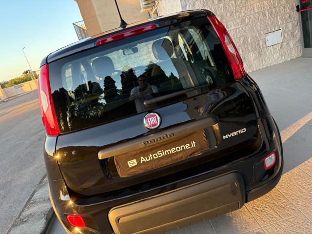 FIAT PANDA 1.0 FIREFLY S&S HYBRID CERCHI IN - foto 20