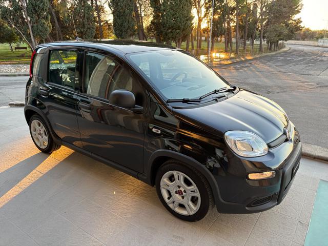 FIAT PANDA 1.0 FIREFLY S&S HYBRID CERCHI IN - foto 3