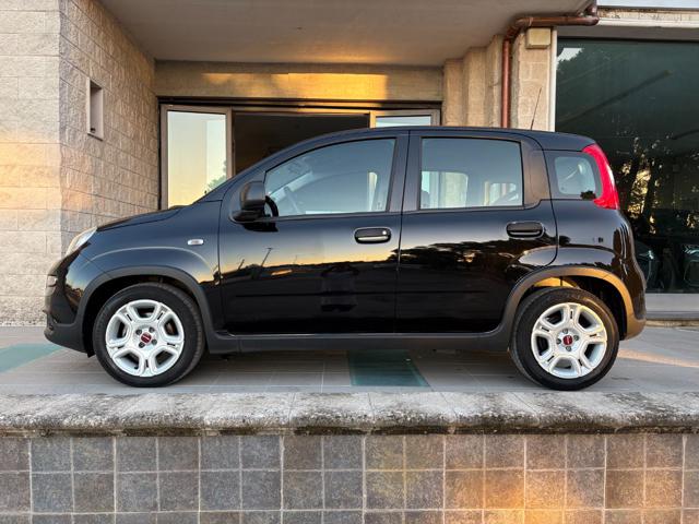 FIAT PANDA 1.0 FIREFLY S&S HYBRID CERCHI IN - foto 8